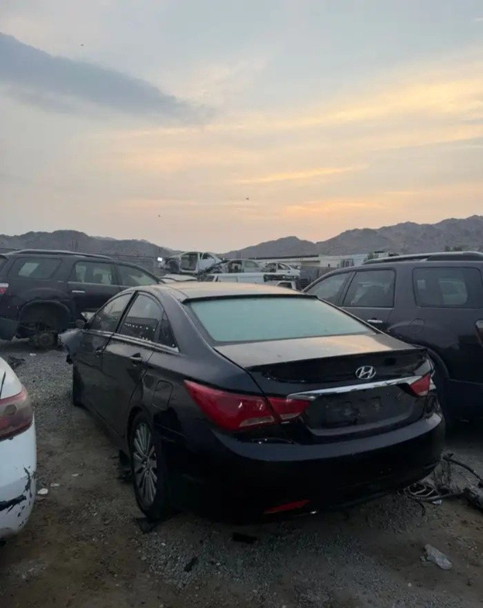 جنوط سوناتا مقاس 18