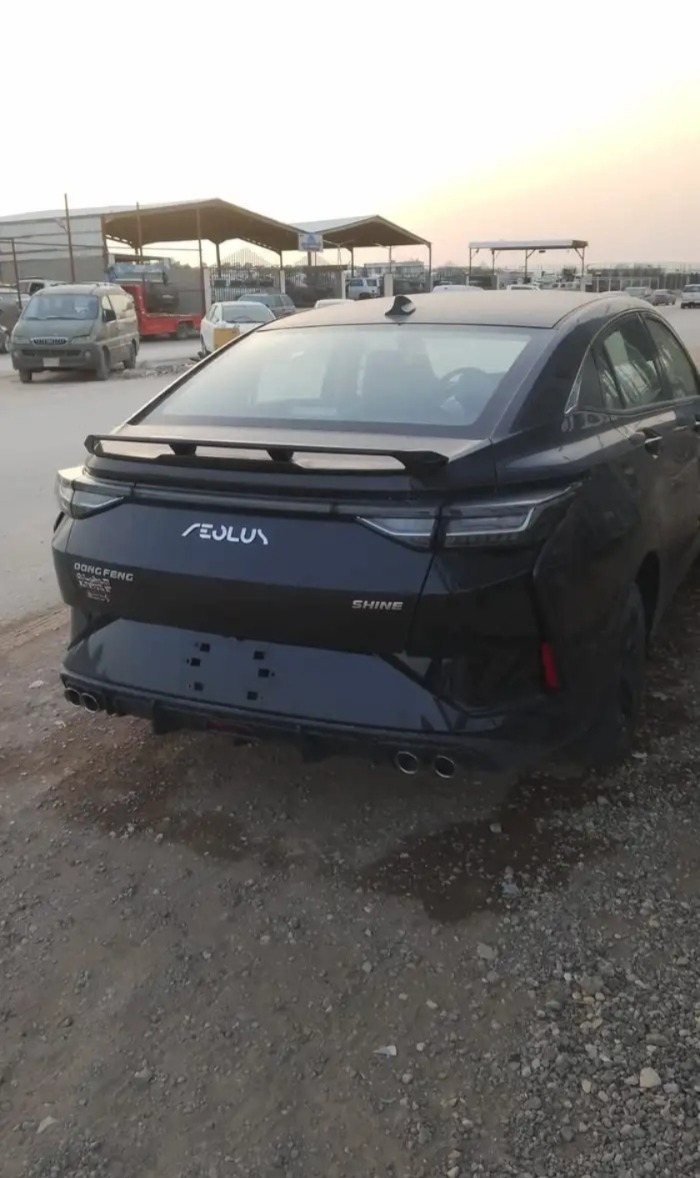 تشليح دونج فينج Shina موديل 2025 — صورة 2
