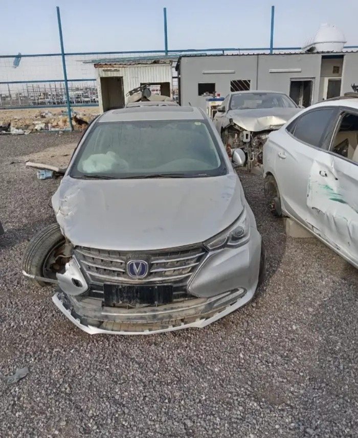 شانجان السفن — صورة 3