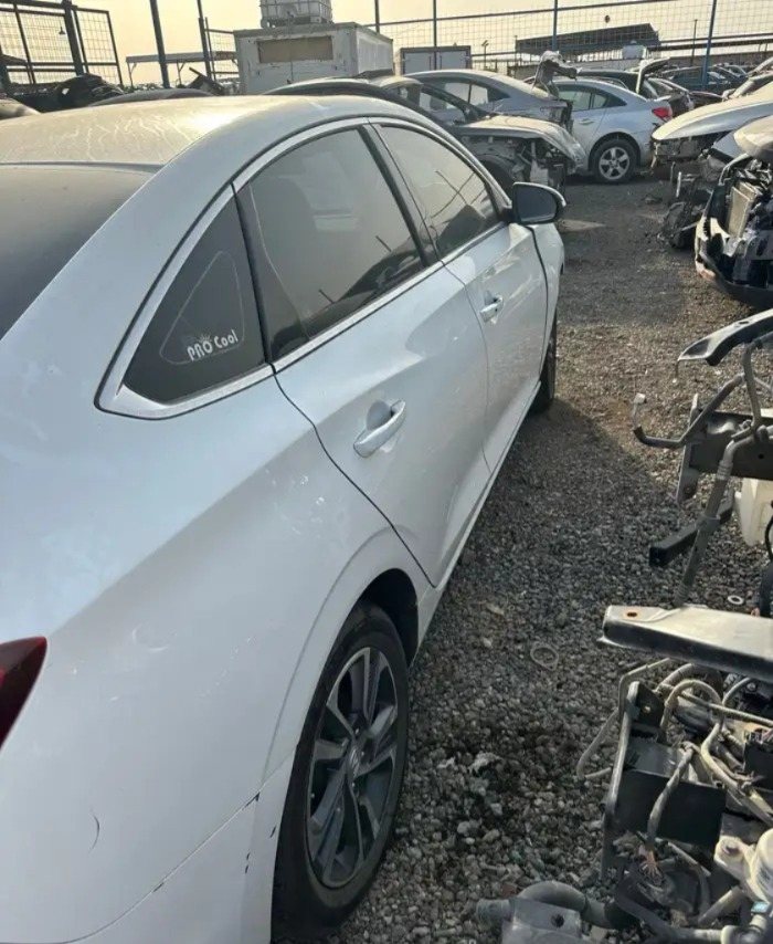 شانجان إيدو موديل 2021 — صورة 2