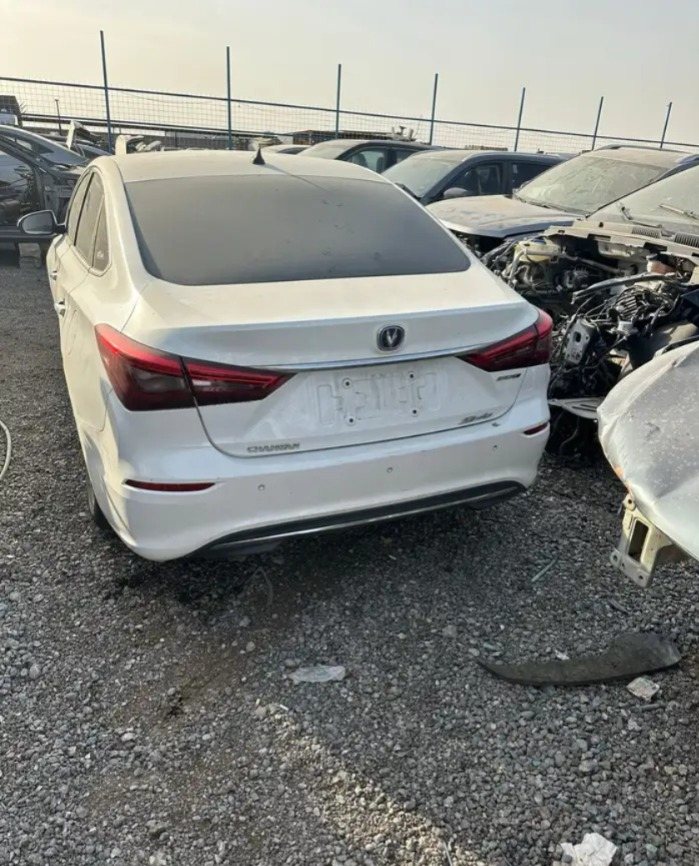 شانجان إيدو موديل 2021 — صورة 3